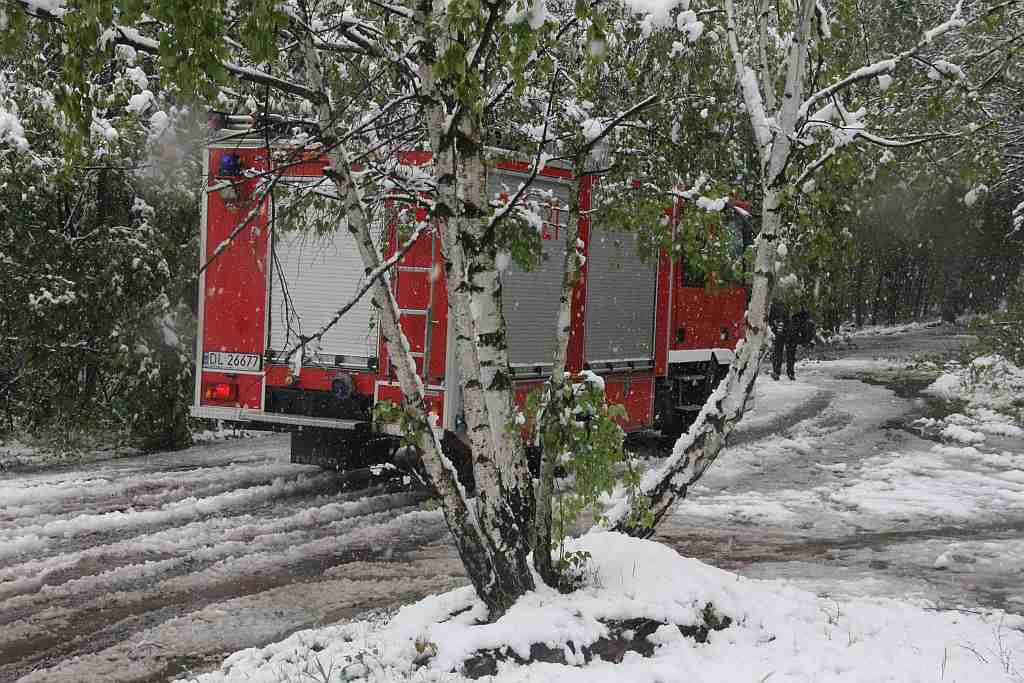 Akcja strażaków na Ceglanej