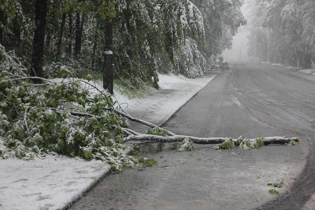 Biała majówka w Legnicy cz.2