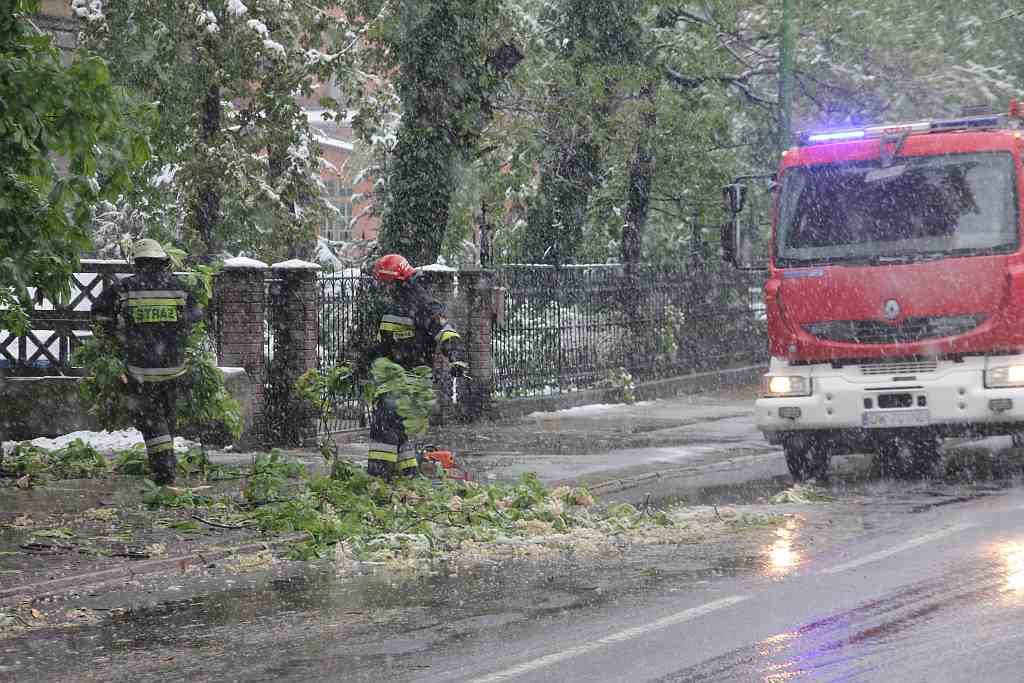 Biała majówka w Legnicy cz.2