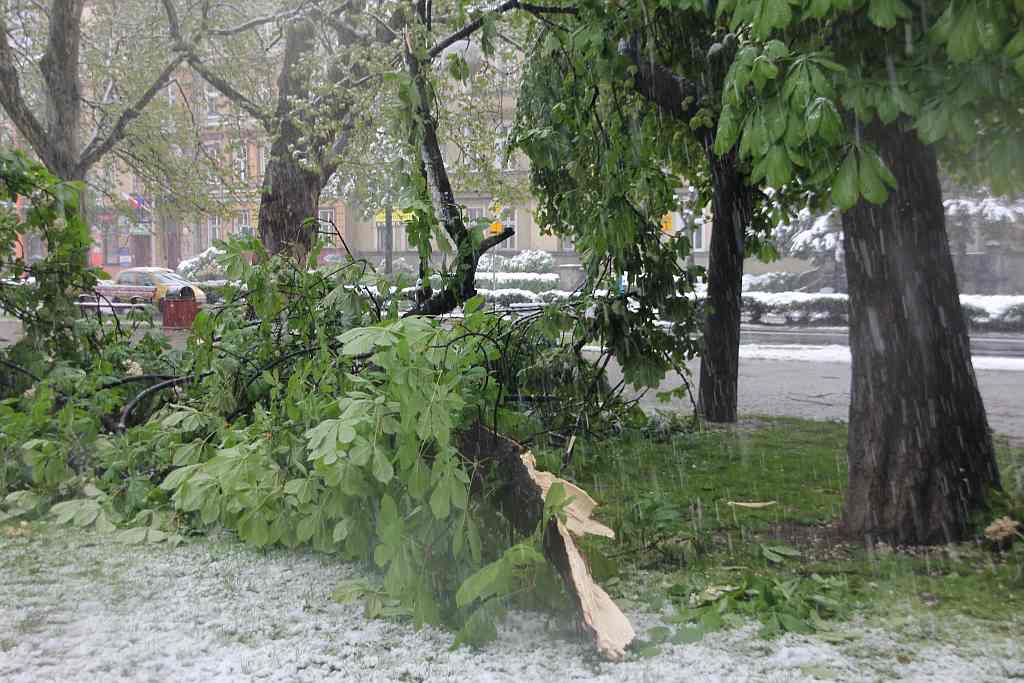 Biała majówka w Legnicy cz.2