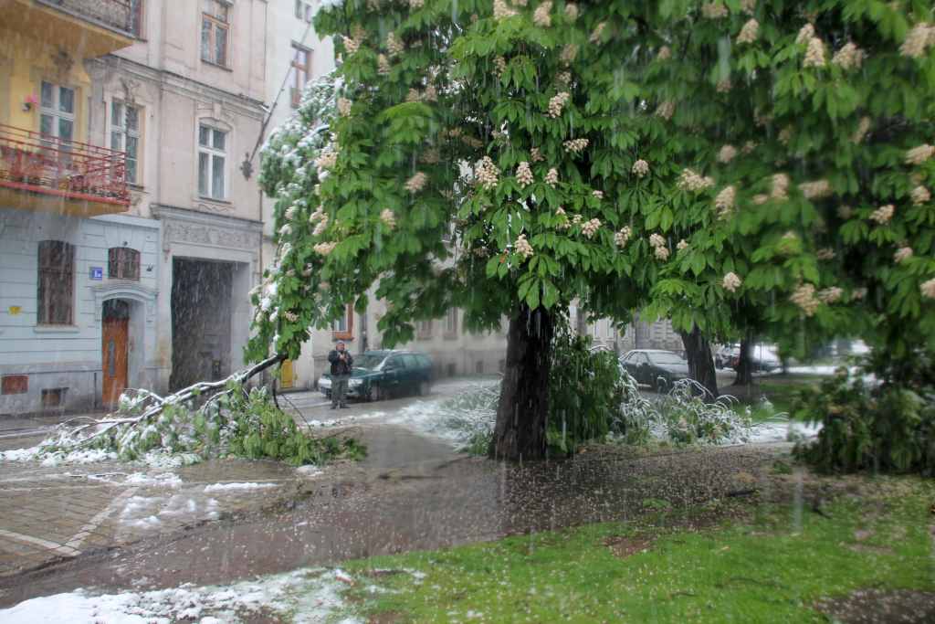 Biała majówka w Legnicy cz.2
