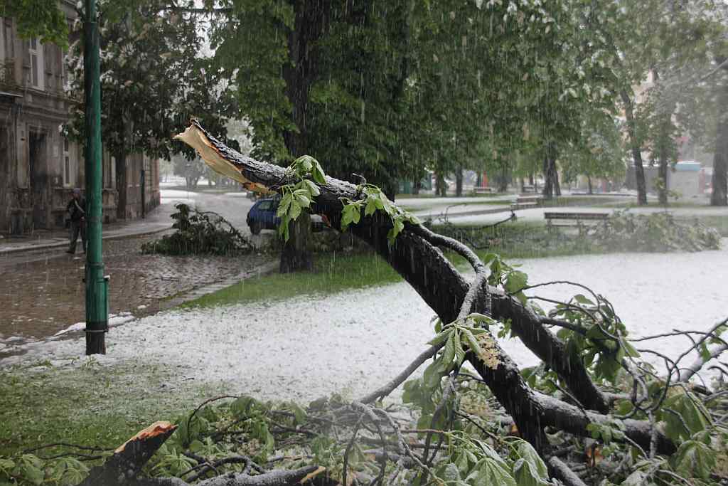 Biała majówka w Legnicy cz.2