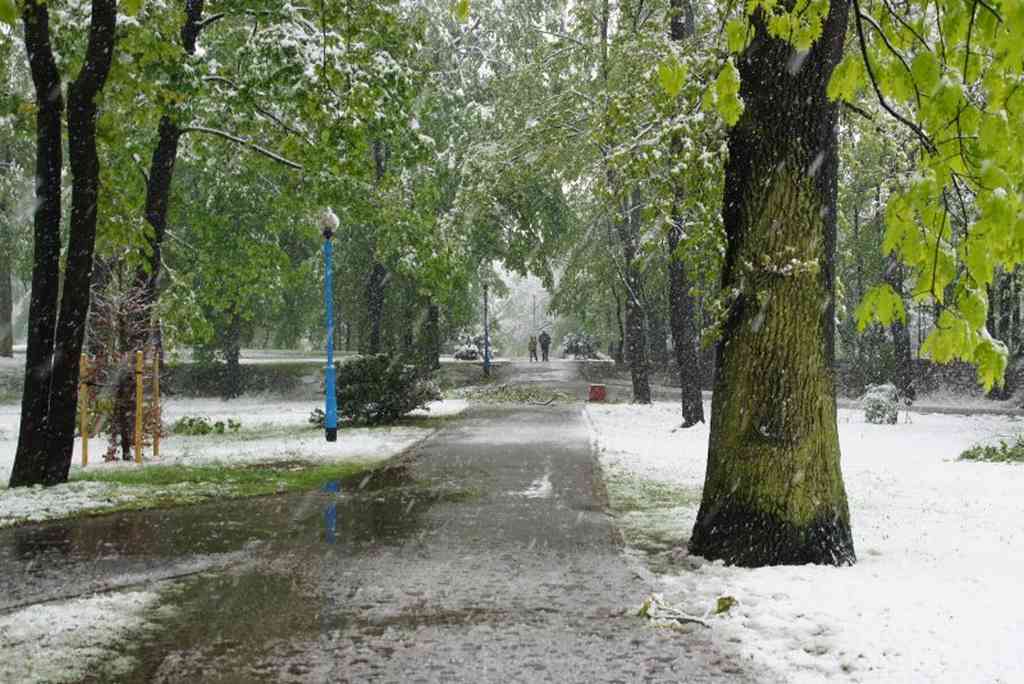 Zima w maju z kontaktu