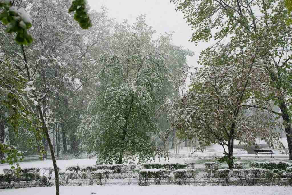 Zima w maju z kontaktu