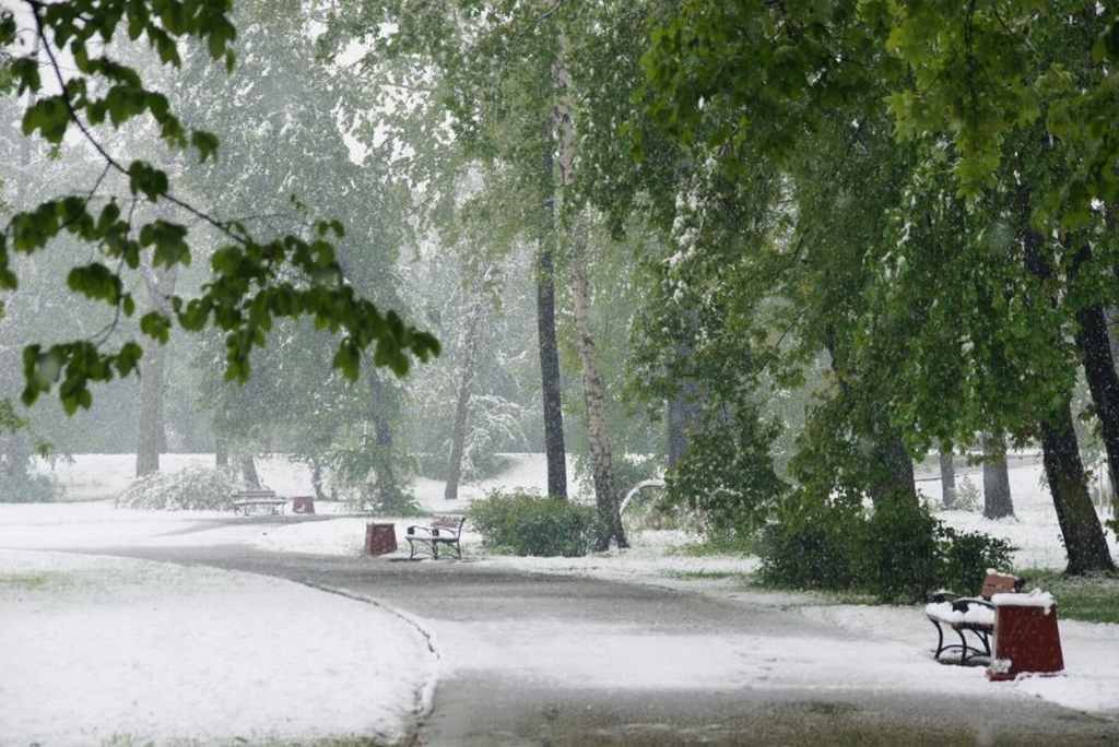 Zima w maju z kontaktu