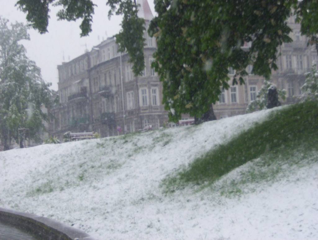Zima w maju z kontaktu