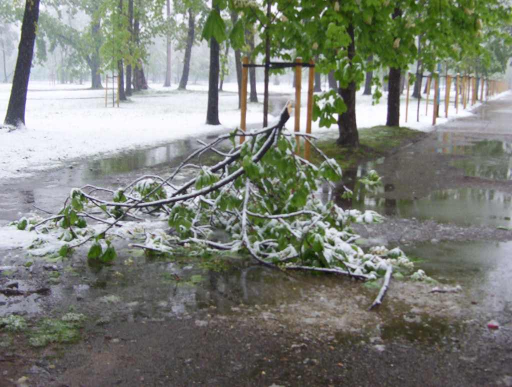 Zima w maju z kontaktu