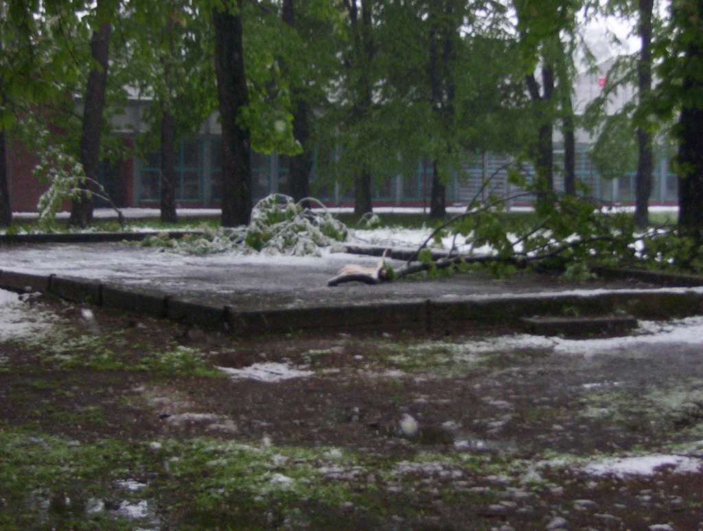 Zima w maju z kontaktu