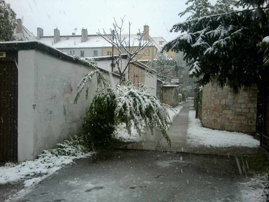 Zima w maju z kontaktu