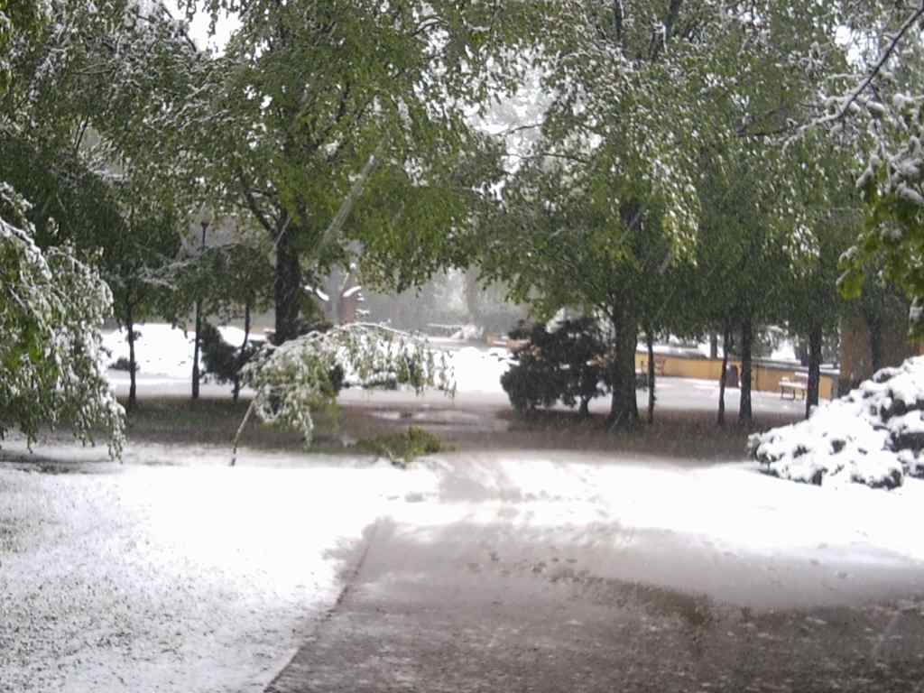 Zima w maju z kontaktu