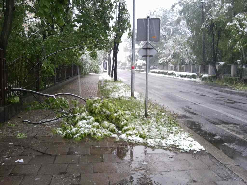 Zima w maju z kontaktu