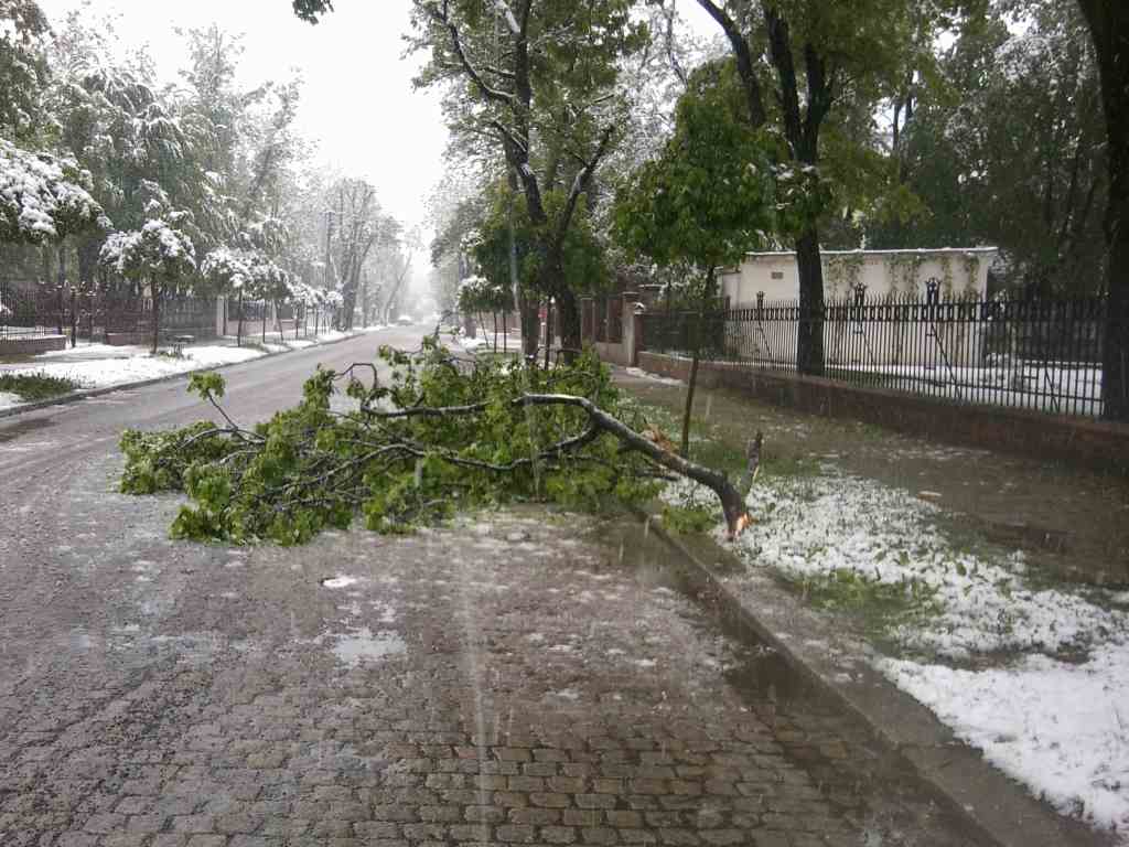 Zima w maju z kontaktu