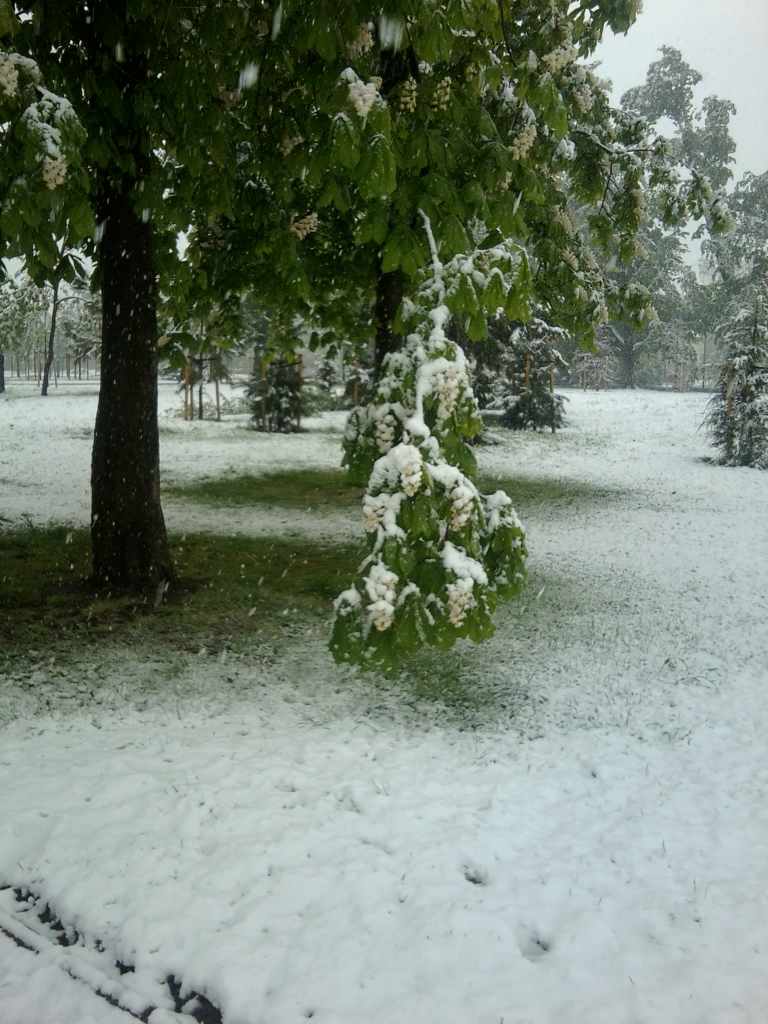 Zima w maju z kontaktu