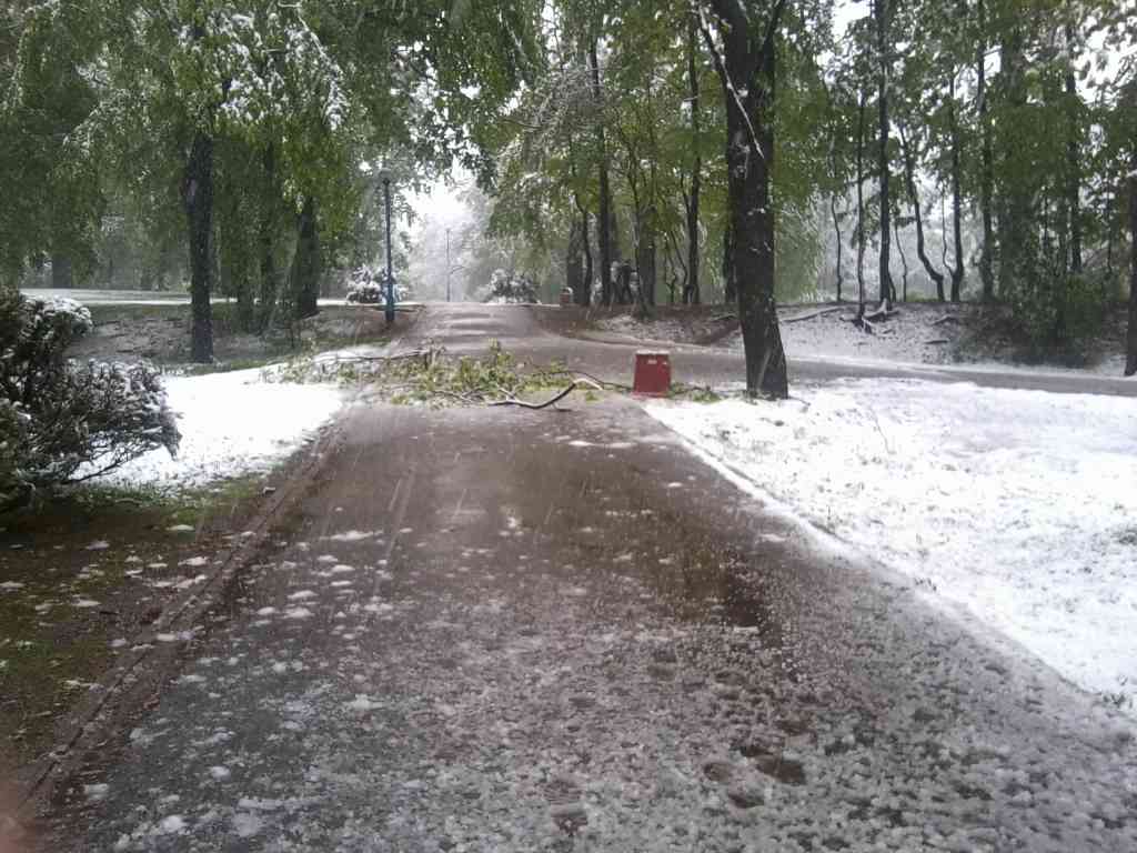 Zima w maju z kontaktu