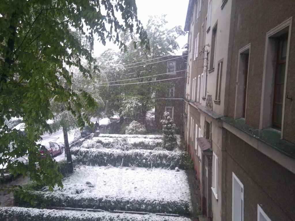 Zima w maju z kontaktu