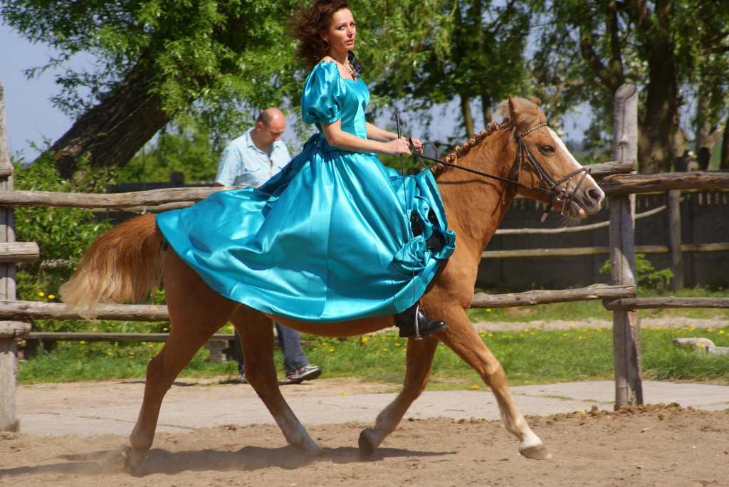 Zawody jeździeckie w Golance