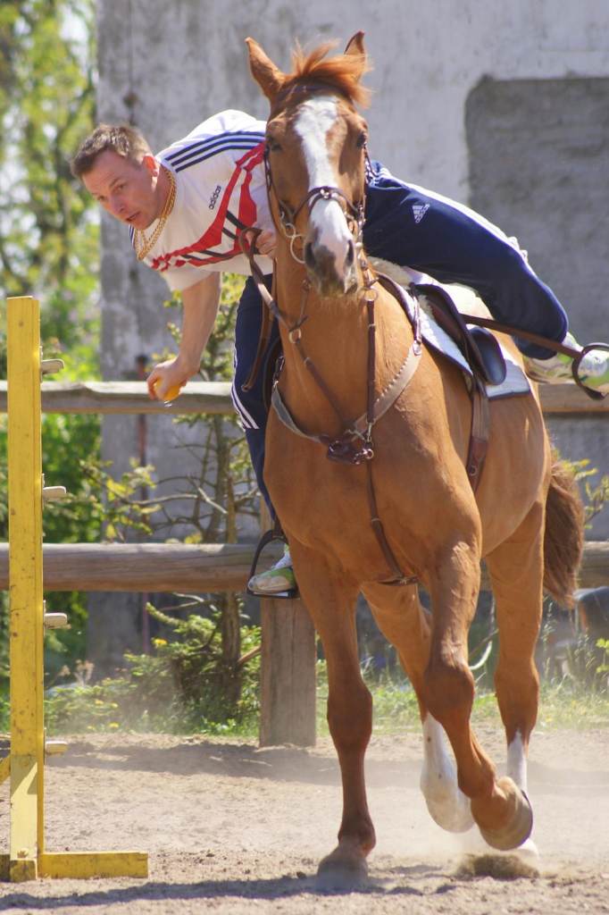 Zawody jeździeckie w Golance