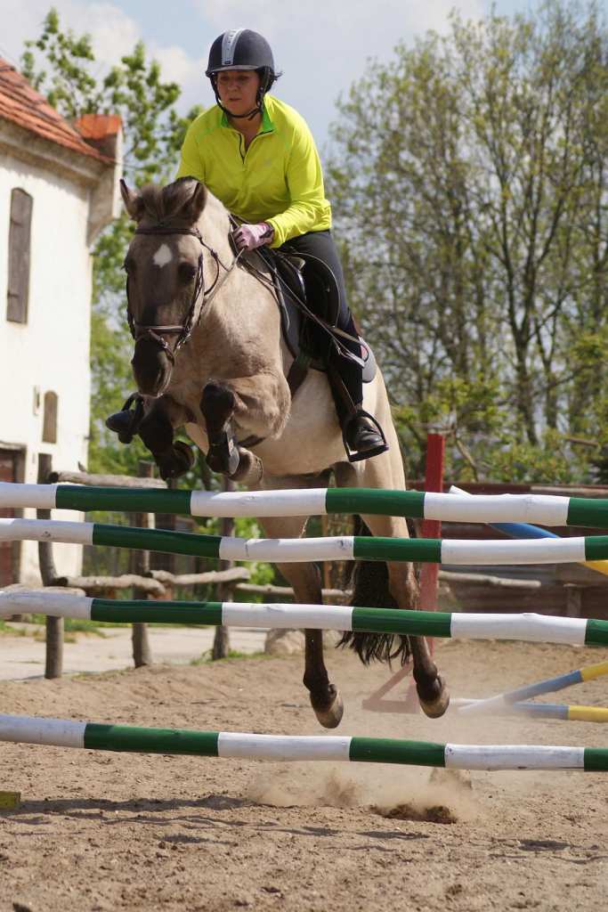 Zawody jeździeckie w Golance