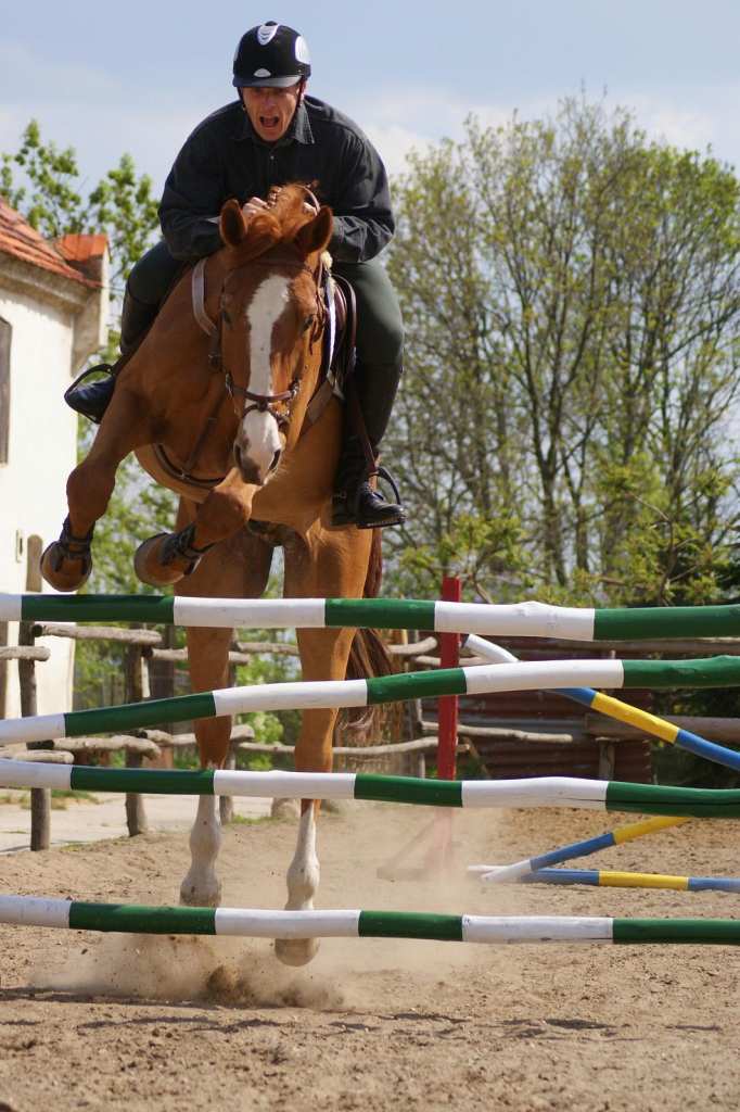 Zawody jeździeckie w Golance