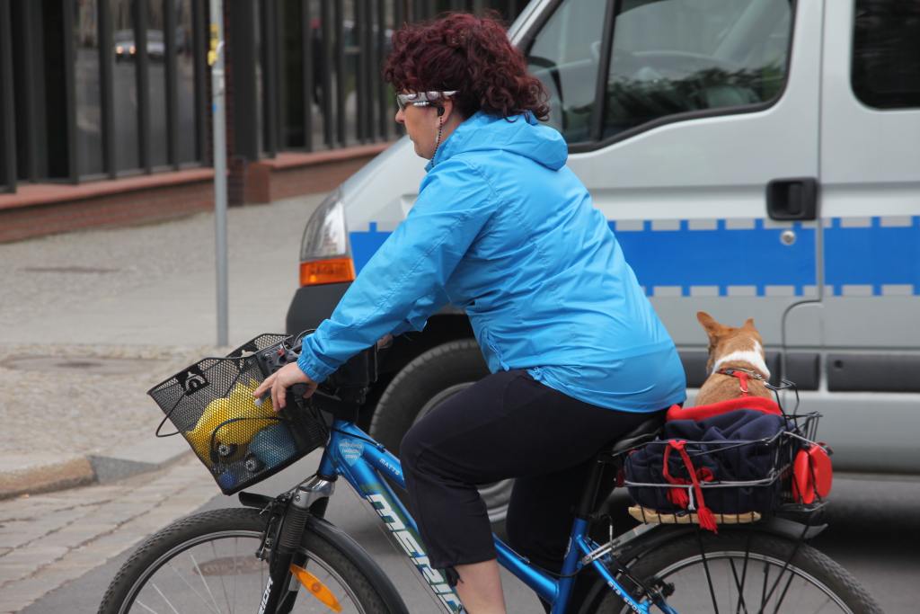 Majówka Rowerowa