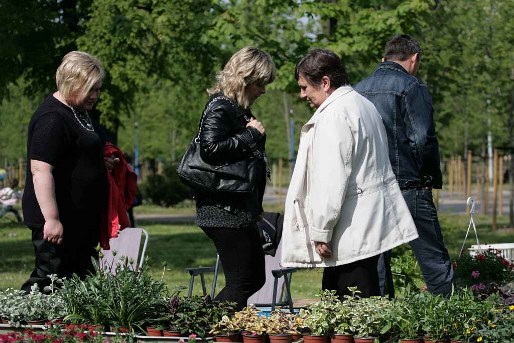 I Legnickie Święto Kwiatów