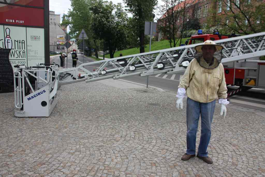 Rój pszczół nad Heliosem