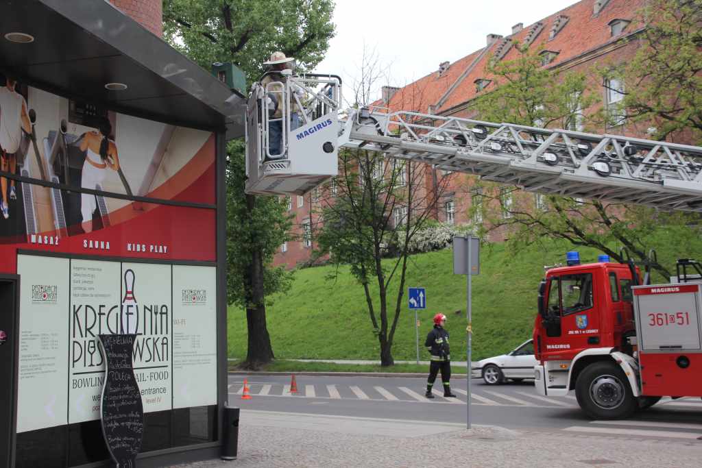 Rój pszczół nad Heliosem