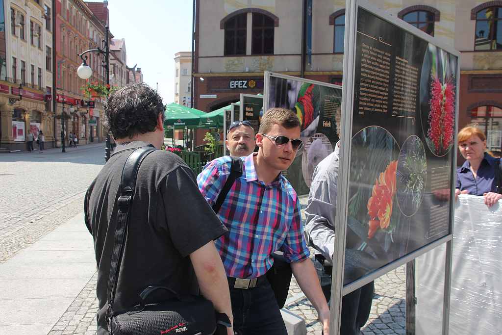Legnica 2010 w obiektywie mediów