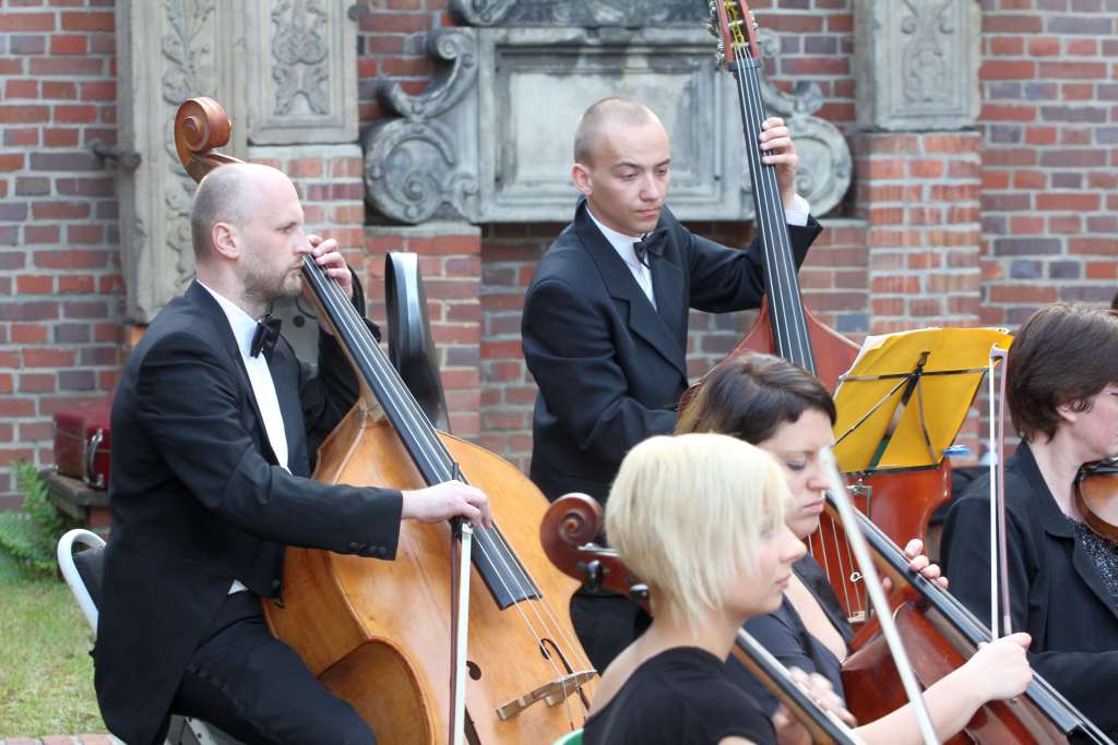 STRINGS & DRUMS