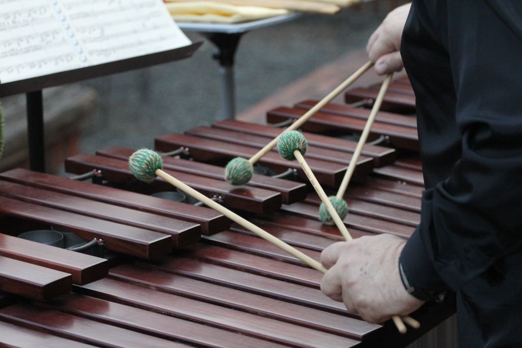 STRINGS & DRUMS