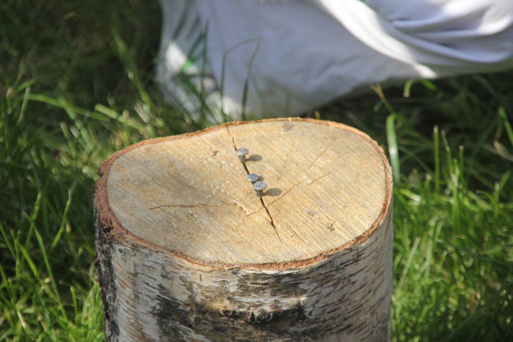 Wielka Majówka w Kunicach 
