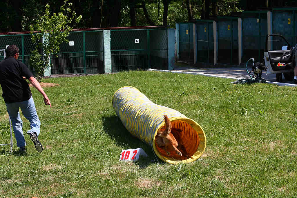 Dzien Dziecka w LPGK