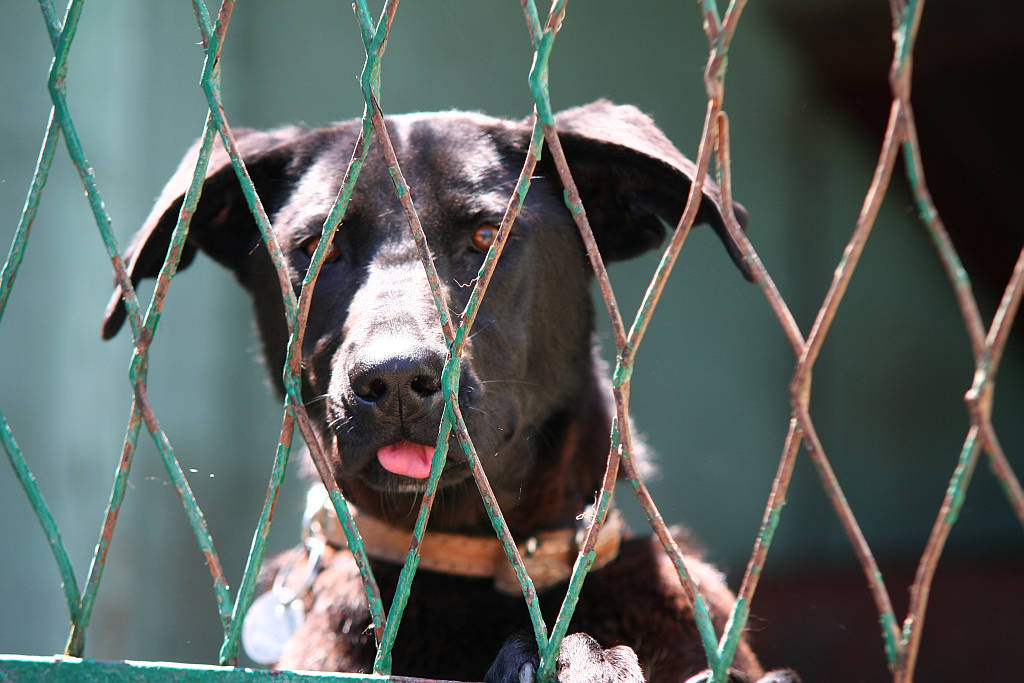 Dzien Dziecka w LPGK