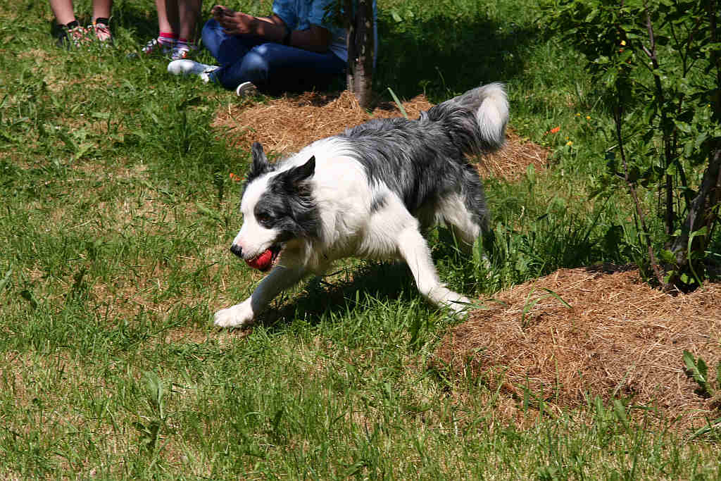 Dzien Dziecka w LPGK