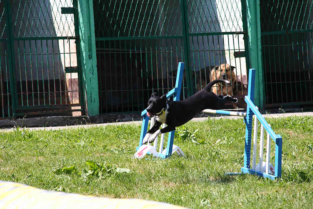 Dzien Dziecka w LPGK