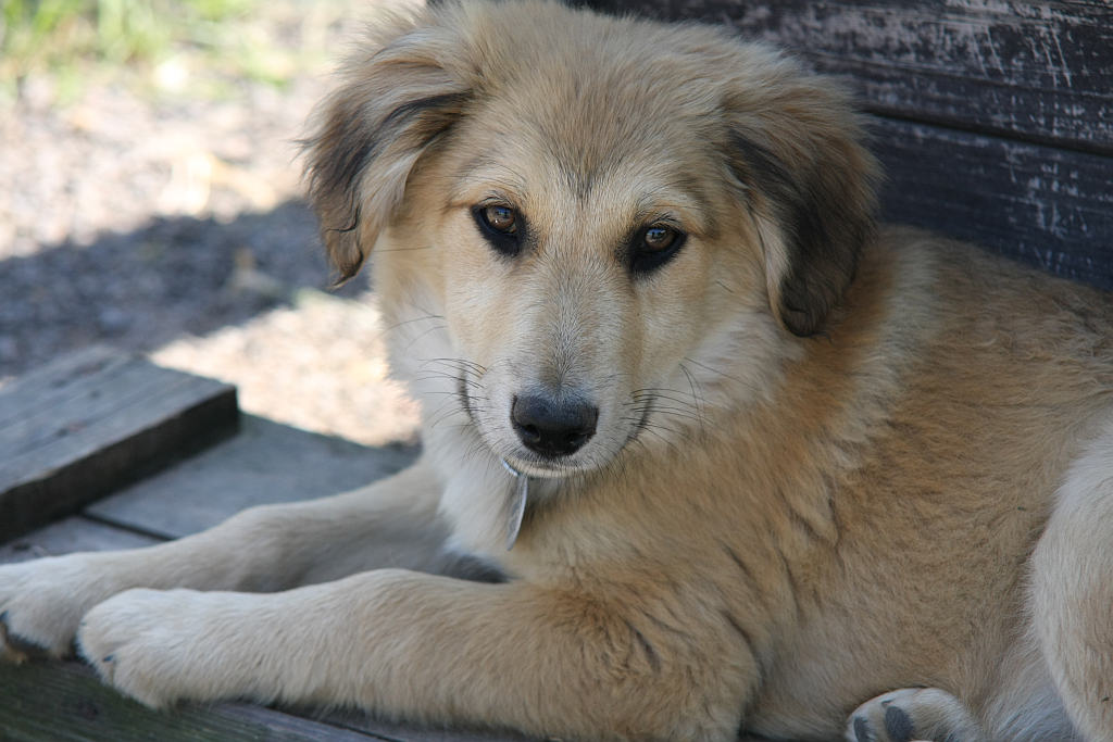 Dzien Dziecka w LPGK