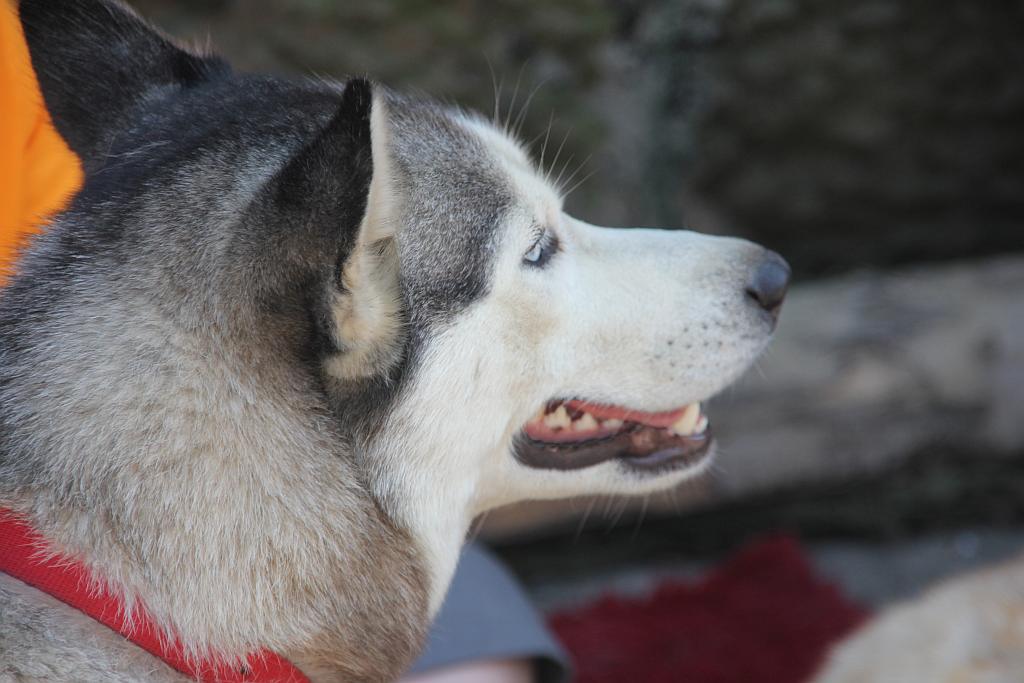 Dzień Dziecka w Arkadii