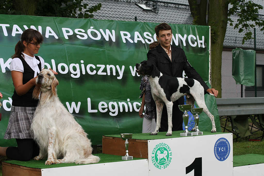 Wystawa psów w Legnickim Polu