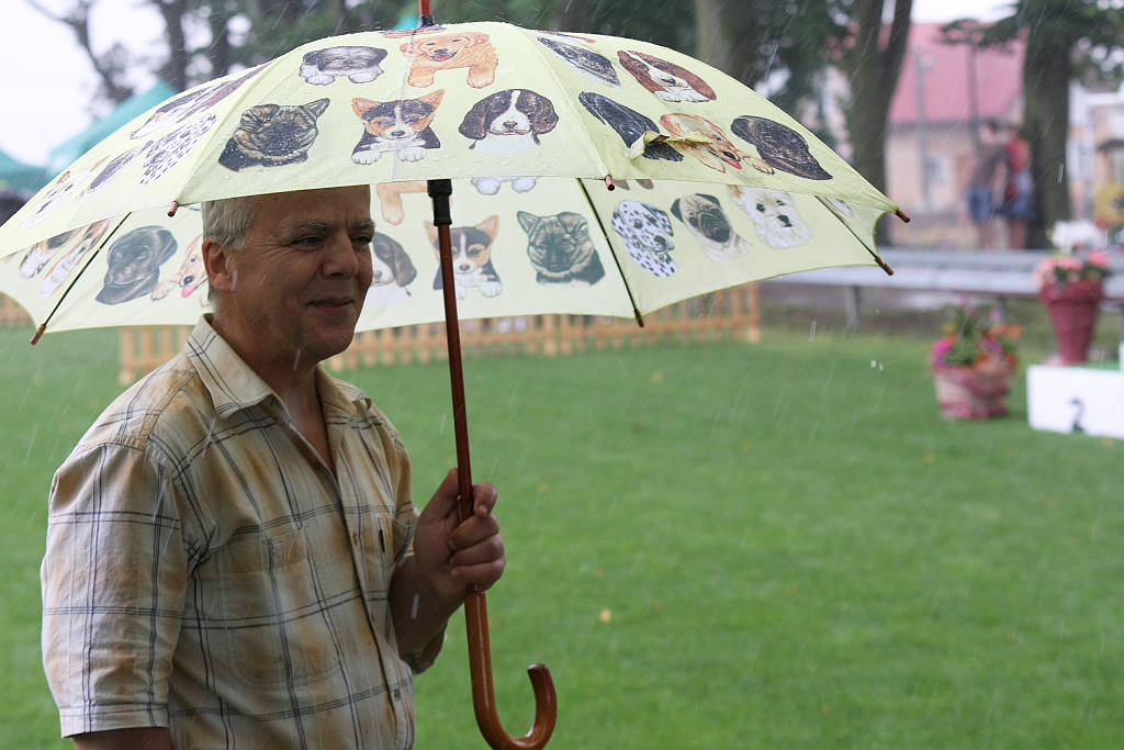 Wystawa psów w Legnickim Polu