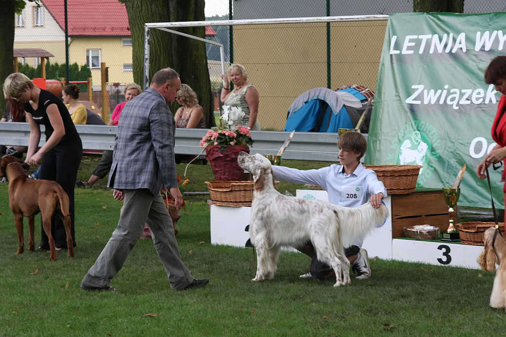 Wystawa psów w Legnickim Polu
