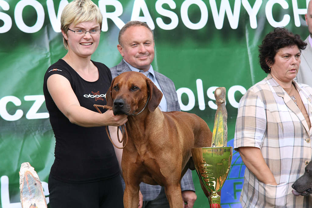 Wystawa psów w Legnickim Polu