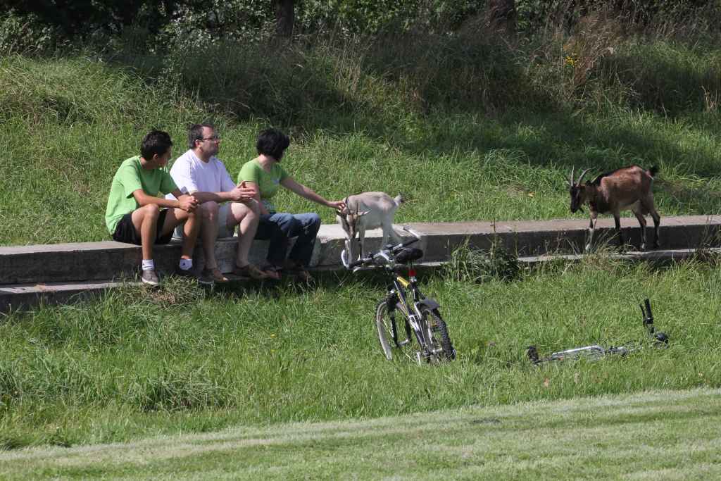 Czarni - KS Legnickie Pole