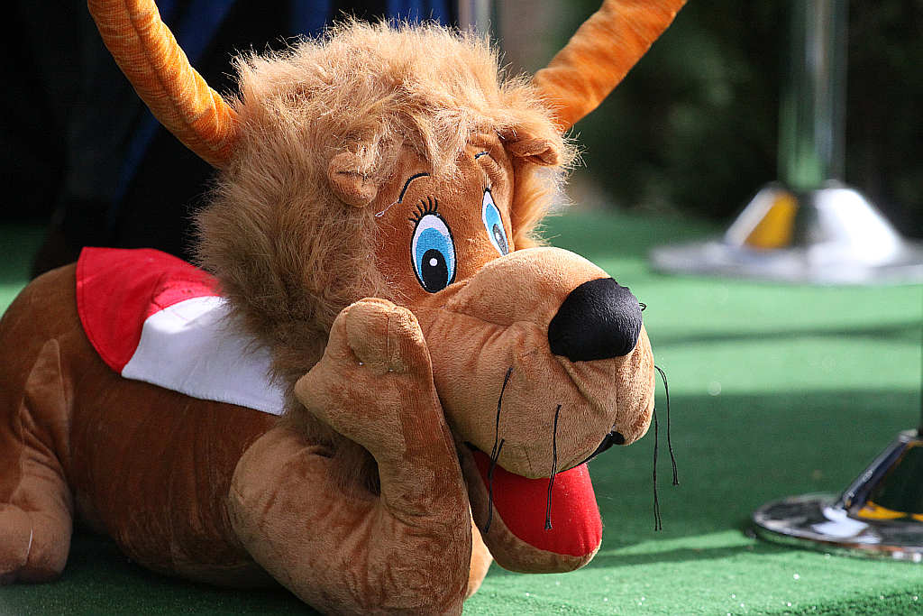 Młodzieżowe Mistrzostwa Świata cz13