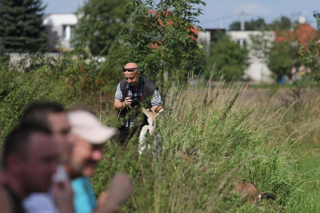 Czarni - KS Legnickie Pole