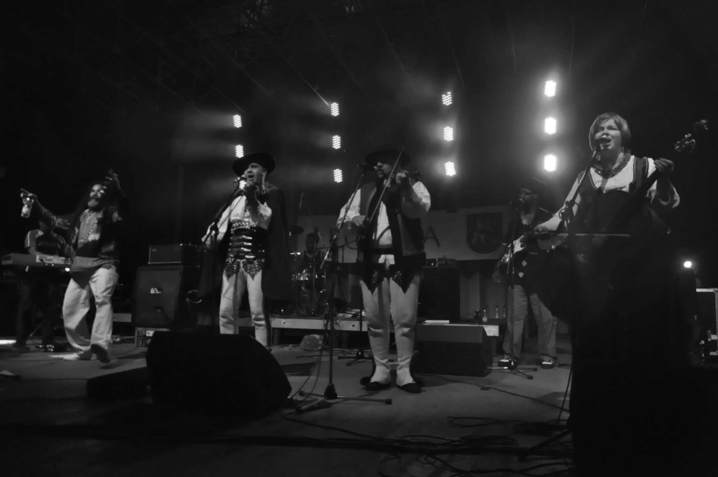 Trebunie Tutki i Twinkle Brothers w parku