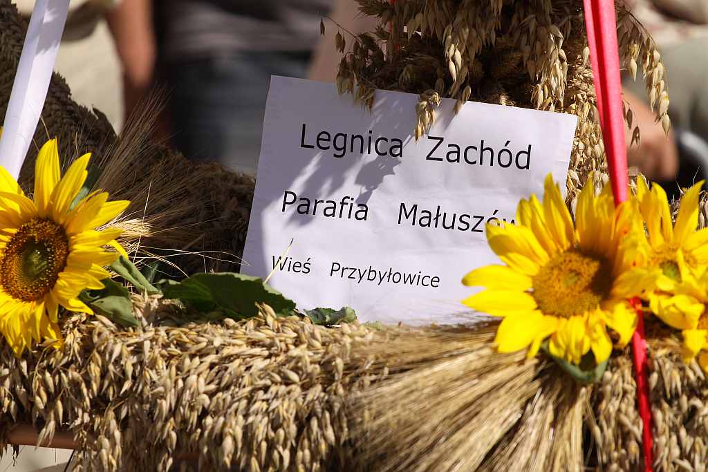 Dożynki w Legnickim Polu