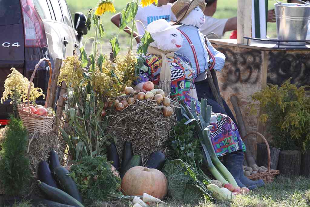 Kartoflisko w Gniewomirowicach
