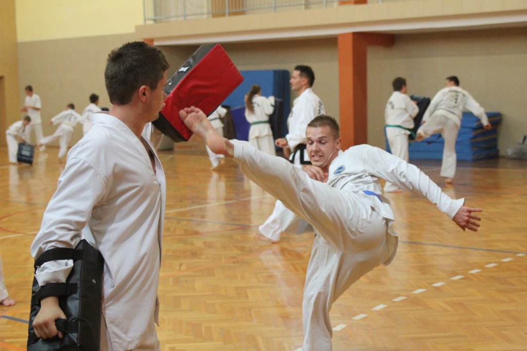 Trening Legnickiego Klubu Taekwon-do