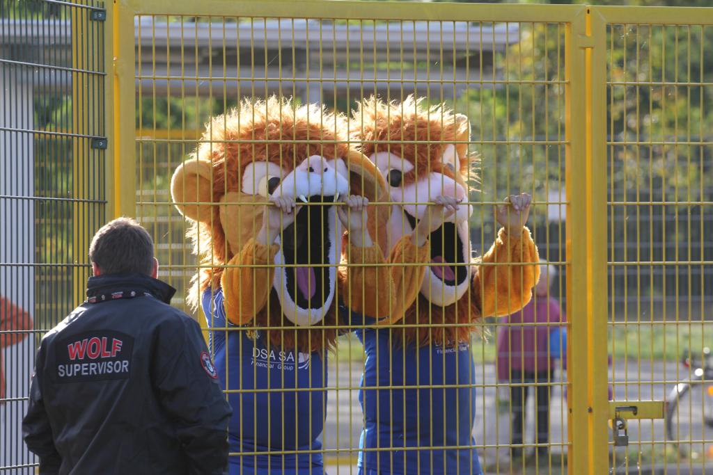 Wygrana Miedzi na urodziny