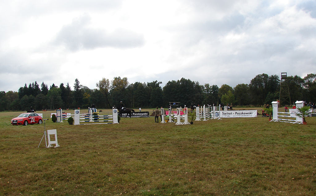 Międzynarodowe Zawody - Wszechstronny Konkurs Konia Wierzchowego